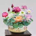 🌸 A Sagrada Flor de Lótus Bonsai 💐+ [BRINDE ESPECIAL]