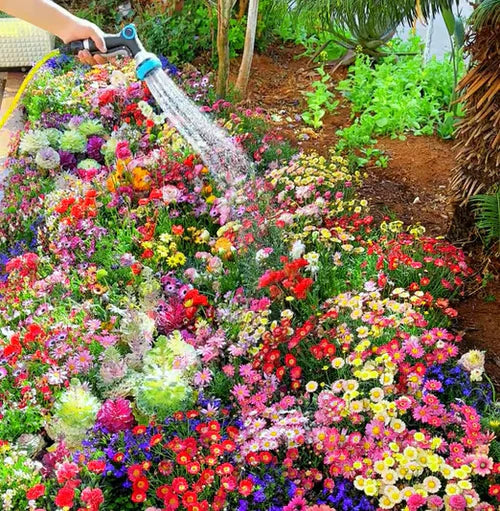Sementes de Flores Perenes Misturadas - Mais de 12 tipos misturados
